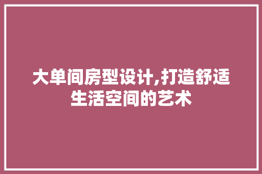 大单间房型设计,打造舒适生活空间的艺术