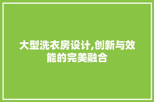 大型洗衣房设计,创新与效能的完美融合 门窗装修