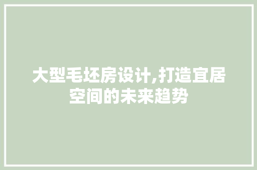 大型毛坯房设计,打造宜居空间的未来趋势