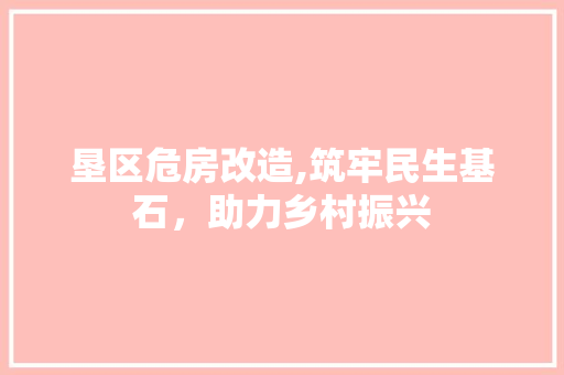 垦区危房改造,筑牢民生基石，助力乡村振兴