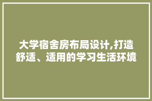 大学宿舍房布局设计,打造舒适、适用的学习生活环境
