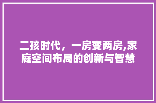 二孩时代，一房变两房,家庭空间布局的创新与智慧