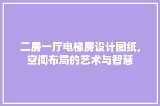二房一厅电梯房设计图纸,空间布局的艺术与智慧