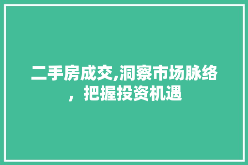 二手房成交,洞察市场脉络，把握投资机遇