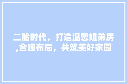 二胎时代，打造温馨姐弟房,合理布局，共筑美好家园