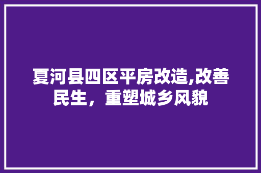 夏河县四区平房改造,改善民生，重塑城乡风貌