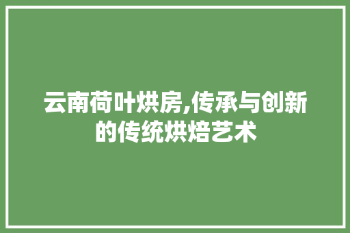 云南荷叶烘房,传承与创新的传统烘焙艺术