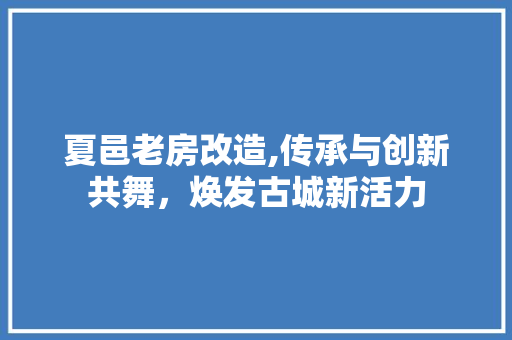夏邑老房改造,传承与创新共舞，焕发古城新活力