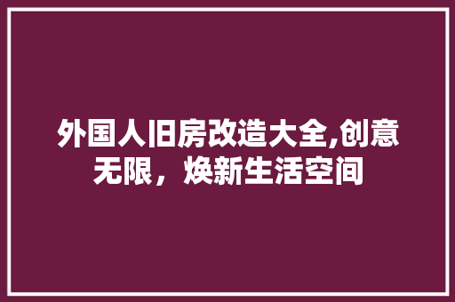 外国人旧房改造大全,创意无限，焕新生活空间