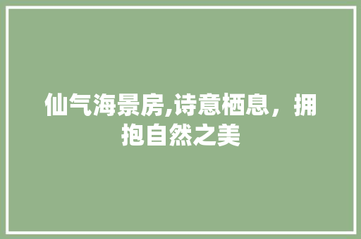 仙气海景房,诗意栖息，拥抱自然之美