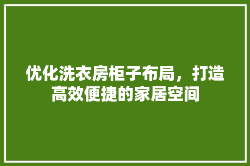 优化洗衣房柜子布局，打造高效便捷的家居空间