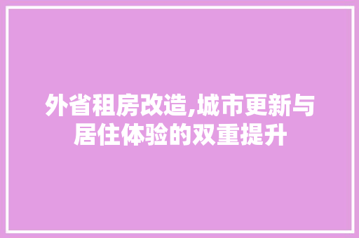 外省租房改造,城市更新与居住体验的双重提升