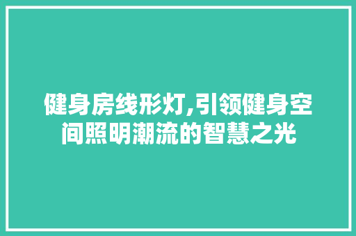 健身房线形灯,引领健身空间照明潮流的智慧之光