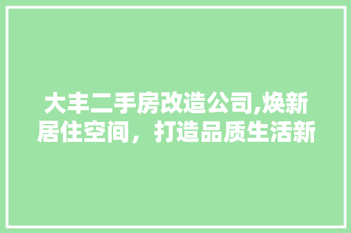 大丰二手房改造公司,焕新居住空间，打造品质生活新篇章