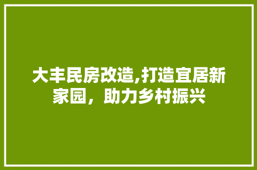 大丰民房改造,打造宜居新家园，助力乡村振兴