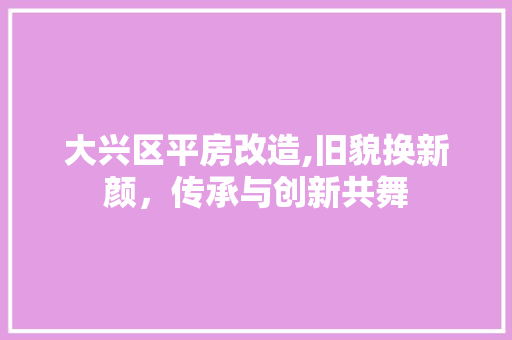 大兴区平房改造,旧貌换新颜，传承与创新共舞