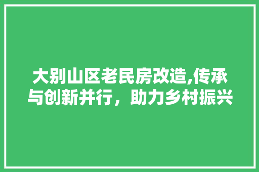 大别山区老民房改造,传承与创新并行，助力乡村振兴