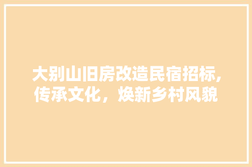 大别山旧房改造民宿招标,传承文化，焕新乡村风貌