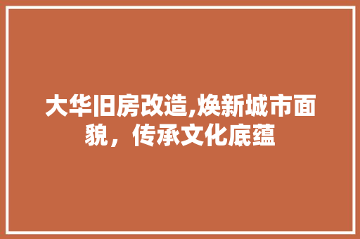 大华旧房改造,焕新城市面貌，传承文化底蕴