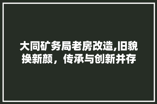 大同矿务局老房改造,旧貌换新颜，传承与创新并存