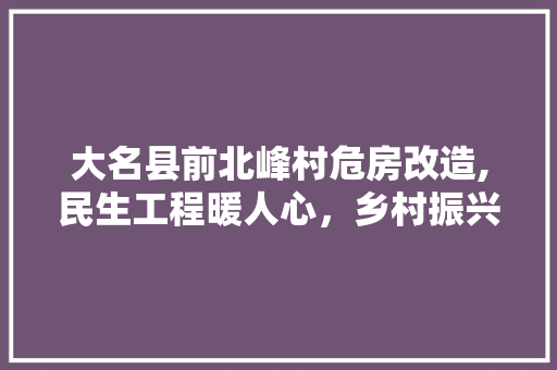 大名县前北峰村危房改造,民生工程暖人心，乡村振兴谱新篇