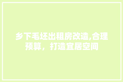乡下毛坯出租房改造,合理预算，打造宜居空间
