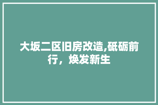 大坂二区旧房改造,砥砺前行，焕发新生