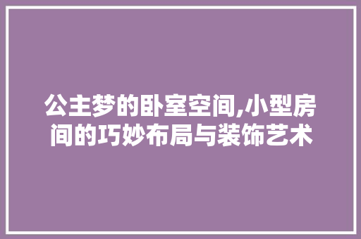 公主梦的卧室空间,小型房间的巧妙布局与装饰艺术