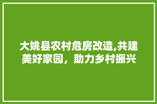 大姚县农村危房改造,共建美好家园，助力乡村振兴