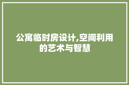 公寓临时房设计,空间利用的艺术与智慧