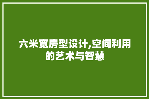 六米宽房型设计,空间利用的艺术与智慧