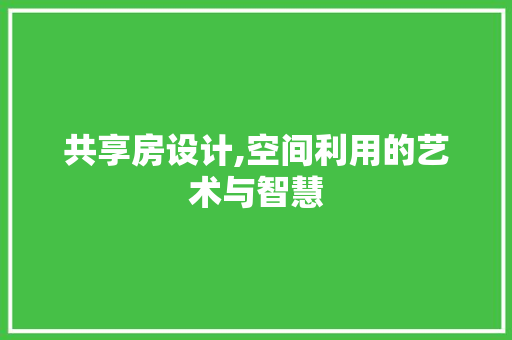 共享房设计,空间利用的艺术与智慧