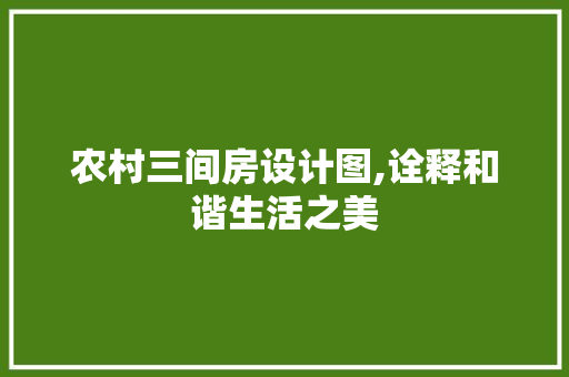 农村三间房设计图,诠释和谐生活之美 建筑设计