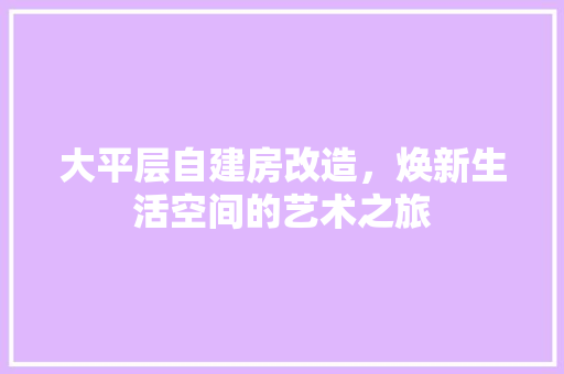 大平层自建房改造，焕新生活空间的艺术之旅