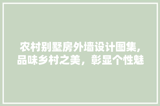 农村别墅房外墙设计图集,品味乡村之美，彰显个性魅力