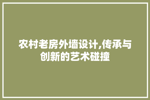 农村老房外墙设计,传承与创新的艺术碰撞 庭院装修