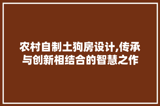 农村自制土狗房设计,传承与创新相结合的智慧之作