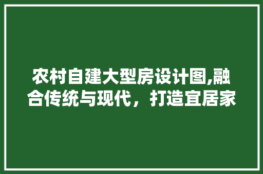农村自建大型房设计图,融合传统与现代，打造宜居家园