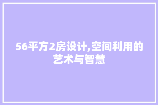 56平方2房设计,空间利用的艺术与智慧
