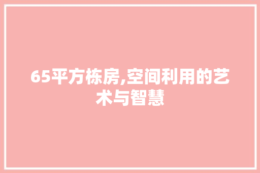65平方栋房,空间利用的艺术与智慧 建筑设计