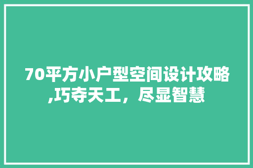 70平方小户型空间设计攻略,巧夺天工，尽显智慧
