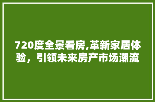 720度全景看房,革新家居体验，引领未来房产市场潮流