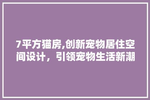 7平方猫房,创新宠物居住空间设计，引领宠物生活新潮流
