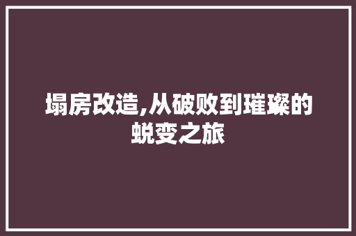塌房改造,从破败到璀璨的蜕变之旅