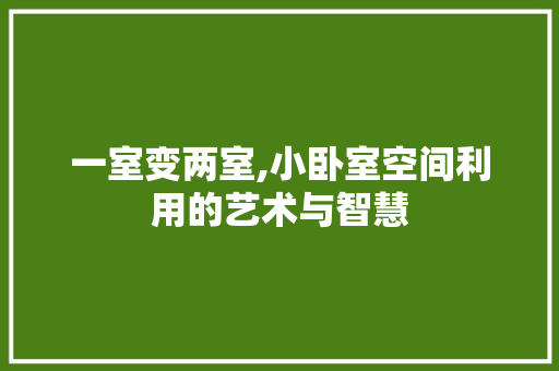 一室变两室,小卧室空间利用的艺术与智慧 隔断设计