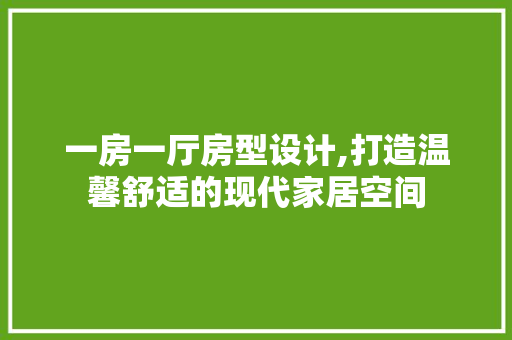 一房一厅房型设计,打造温馨舒适的现代家居空间 地面装修