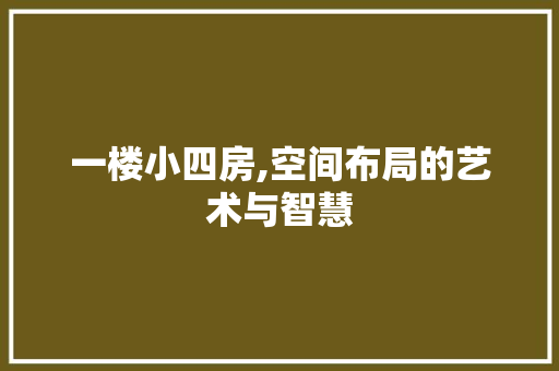 一楼小四房,空间布局的艺术与智慧