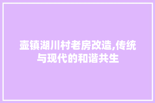 壶镇湖川村老房改造,传统与现代的和谐共生