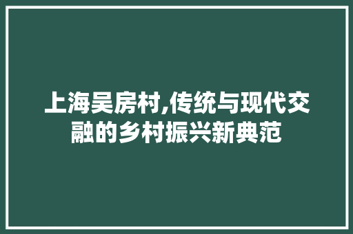 上海吴房村,传统与现代交融的乡村振兴新典范 装修材料