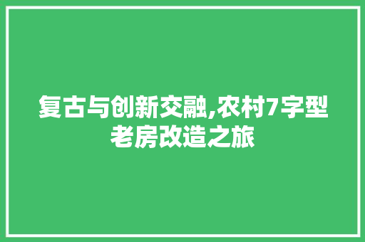 复古与创新交融,农村7字型老房改造之旅